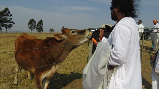 Human beings possess the capacity to raise themselves up to the higher frequencies