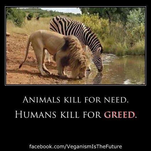 12741917_1751142431771287_132410566235134948_n