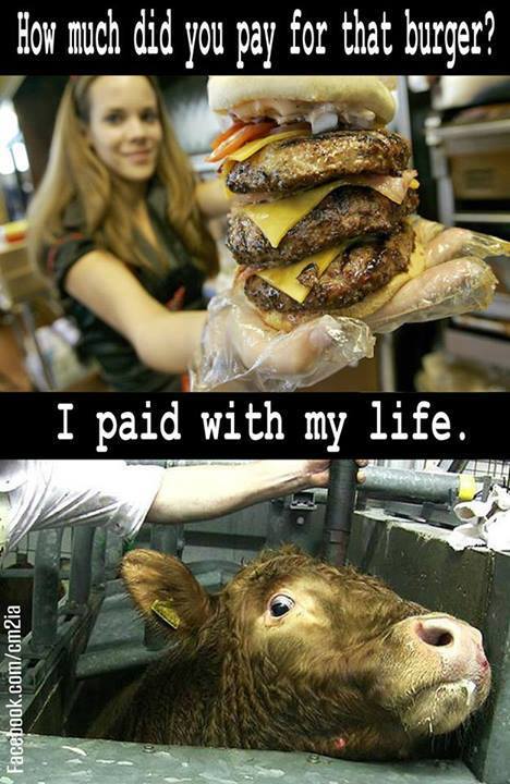 People who buy the products cannot understand the pain of death