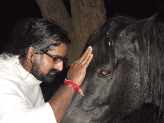 Animals are not lesser beings. They are the same souls such as ourselves in animal forms.