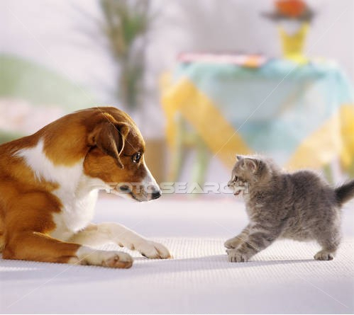 Brahmarishi Mohanji - At the Feet of The Master - Mental images have no spiritual value