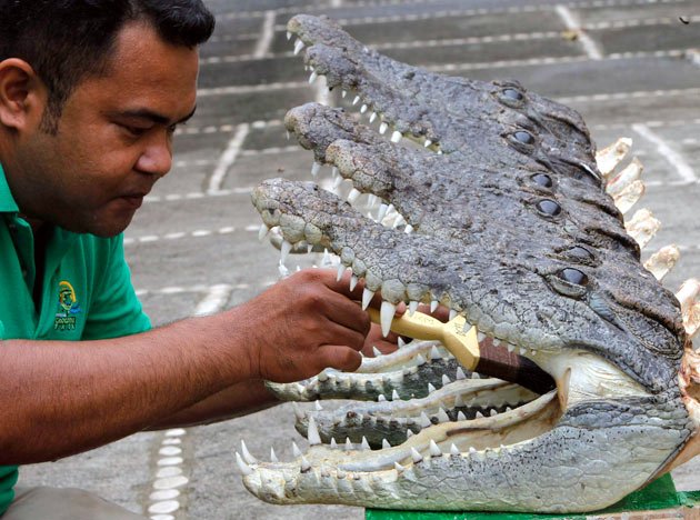 crazy-amazing-photos-240811-12_065543