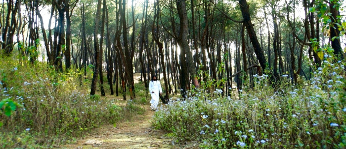 happy birthday mohanji - mohanji's birthday message 8