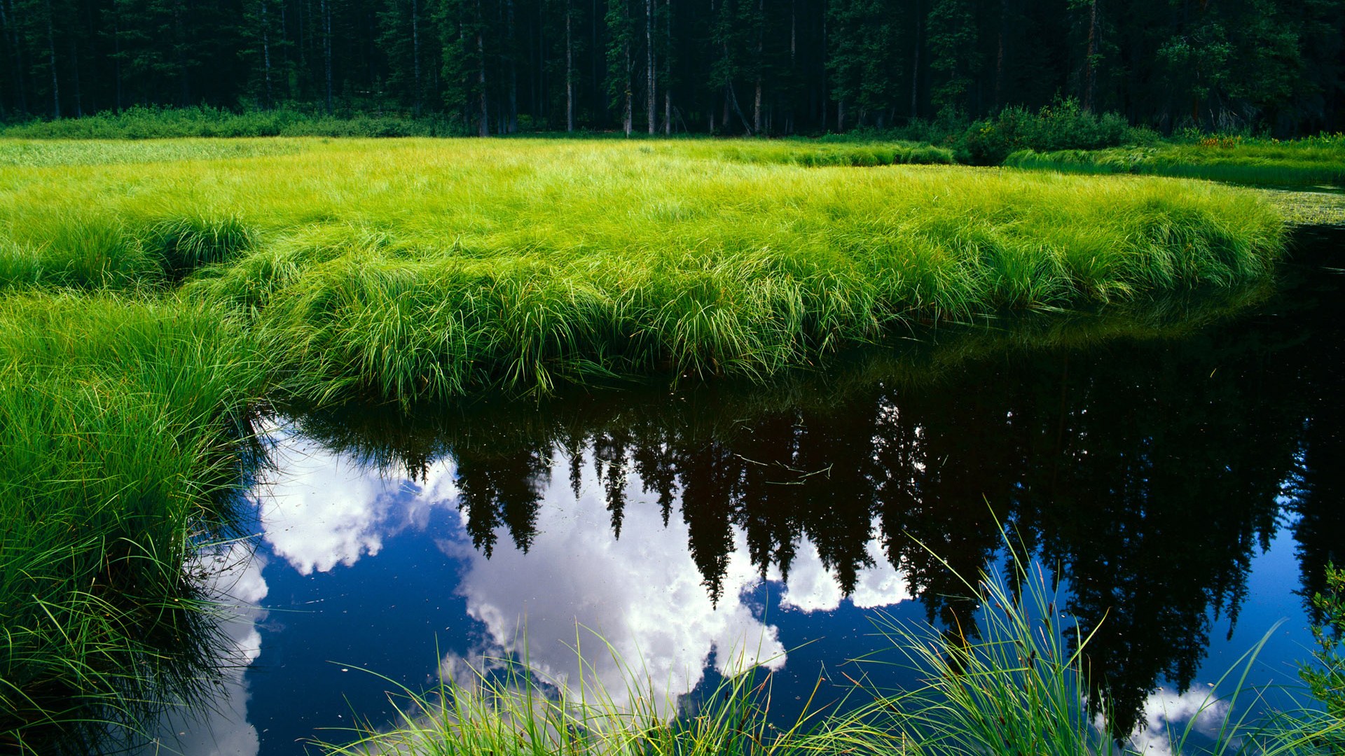 HD_beautiful_nature_landsacpe_19203