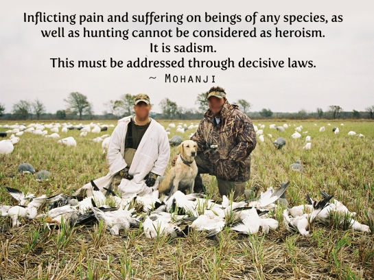 Mohanji quote. Hunting is sadism