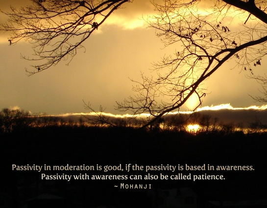 Mohanji quote passivity