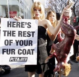 n196002585_30581404_6279