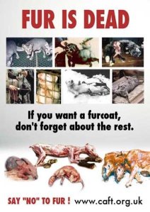 n196002585_30581406_3614