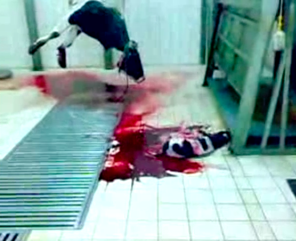 Slaughter of a mother and her child in her womb!