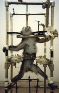 SSM_V1_SPREAD_EAGLE_COLOR_victories2a_large