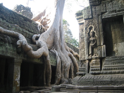 taprohm