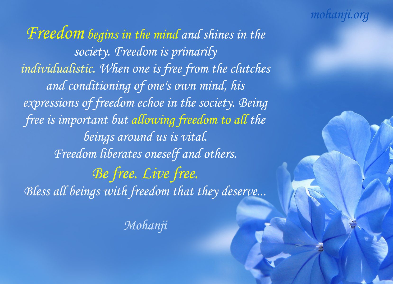 Freedom