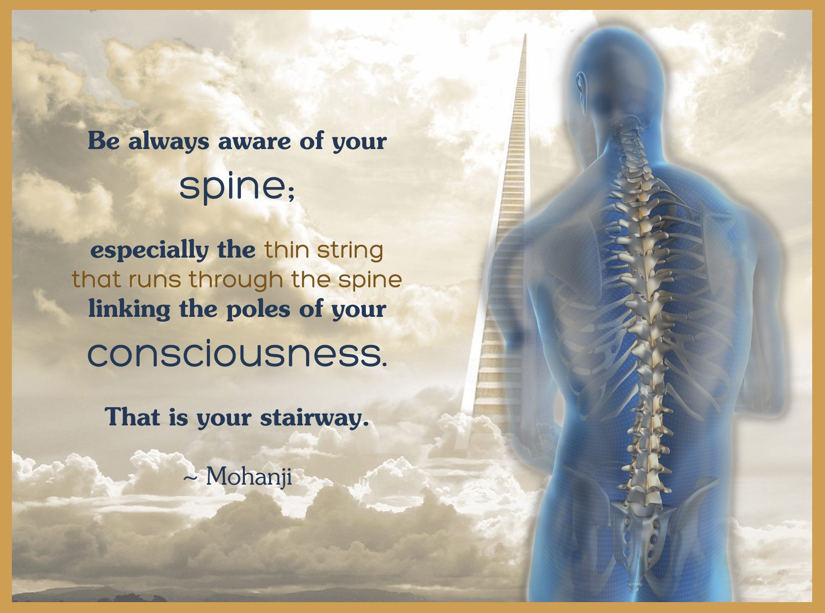 Mohanji quote - be always aware of your spine