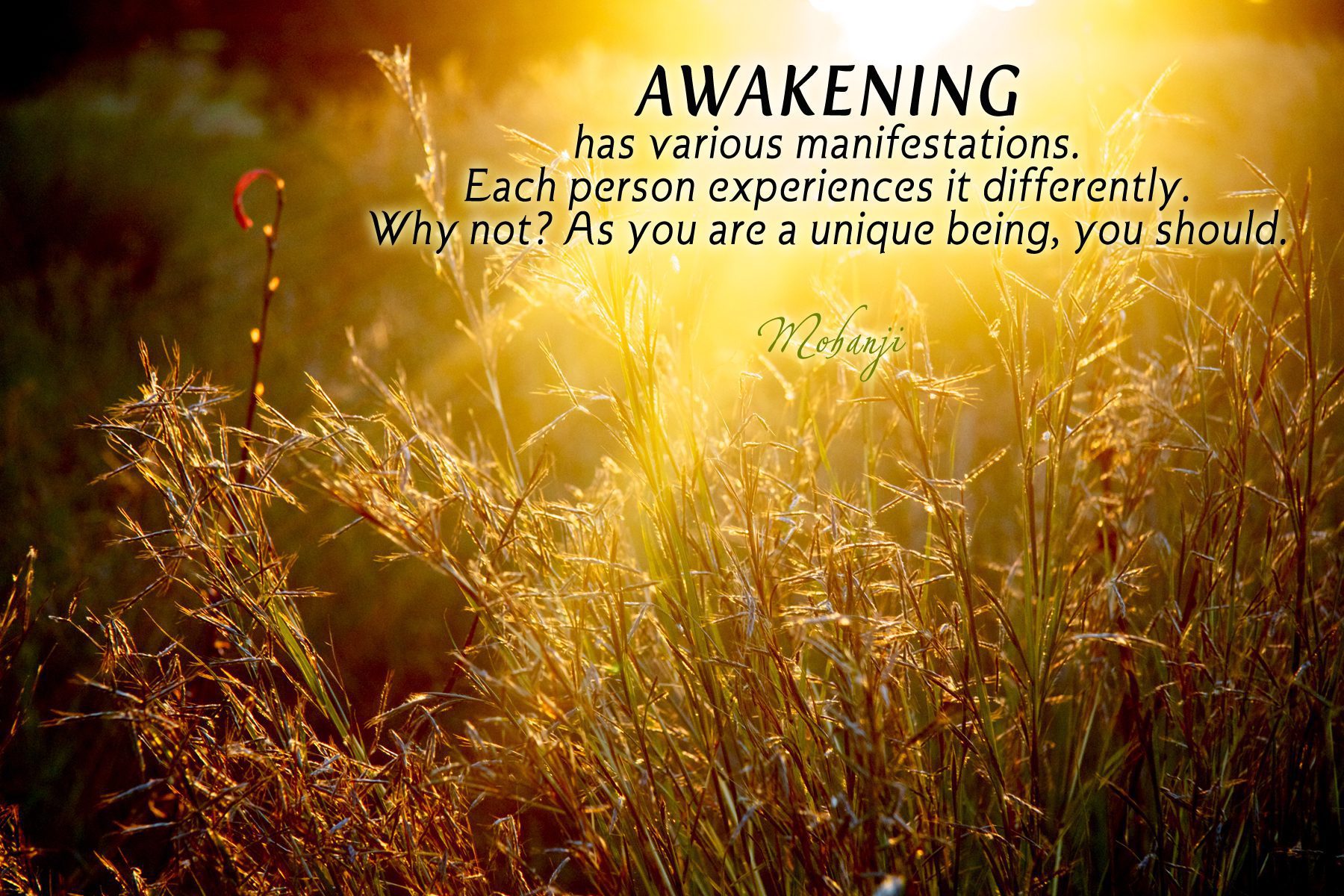 Mohanji quote - Awakening has various manifestations