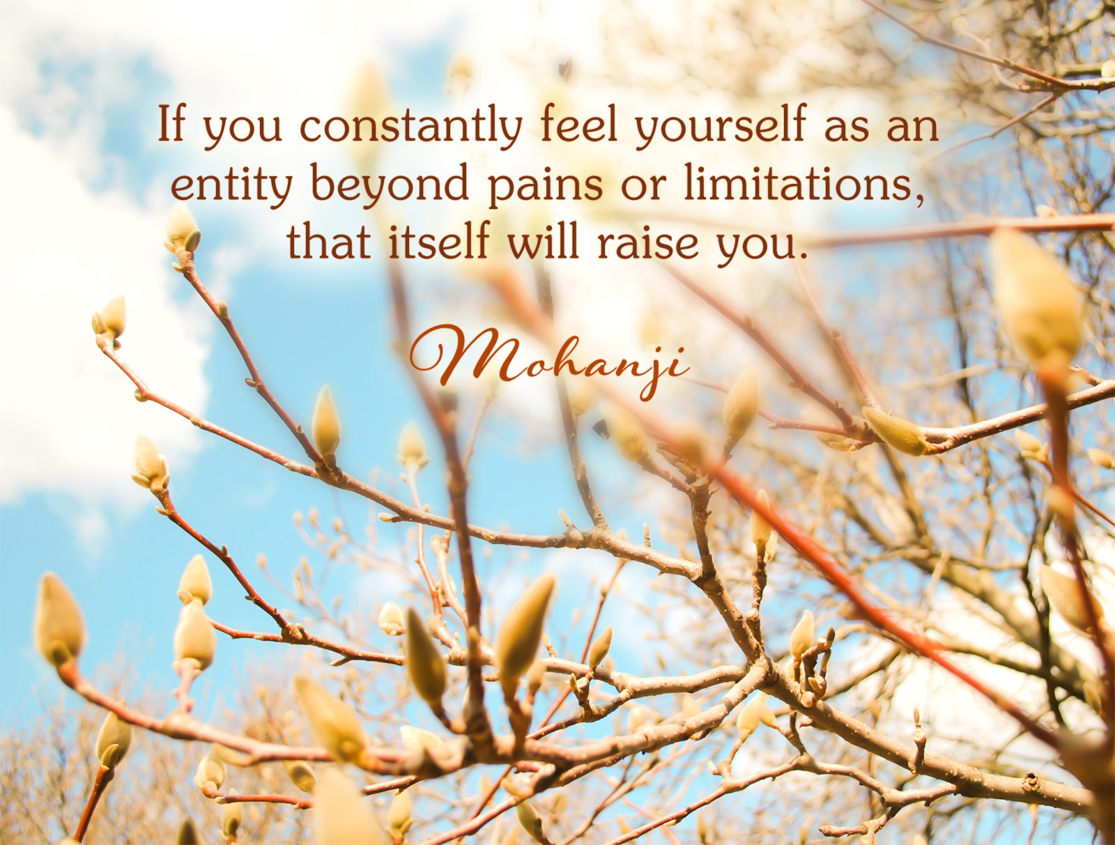 Mohanji quote - If you constantly feel yourself as - Immortal life