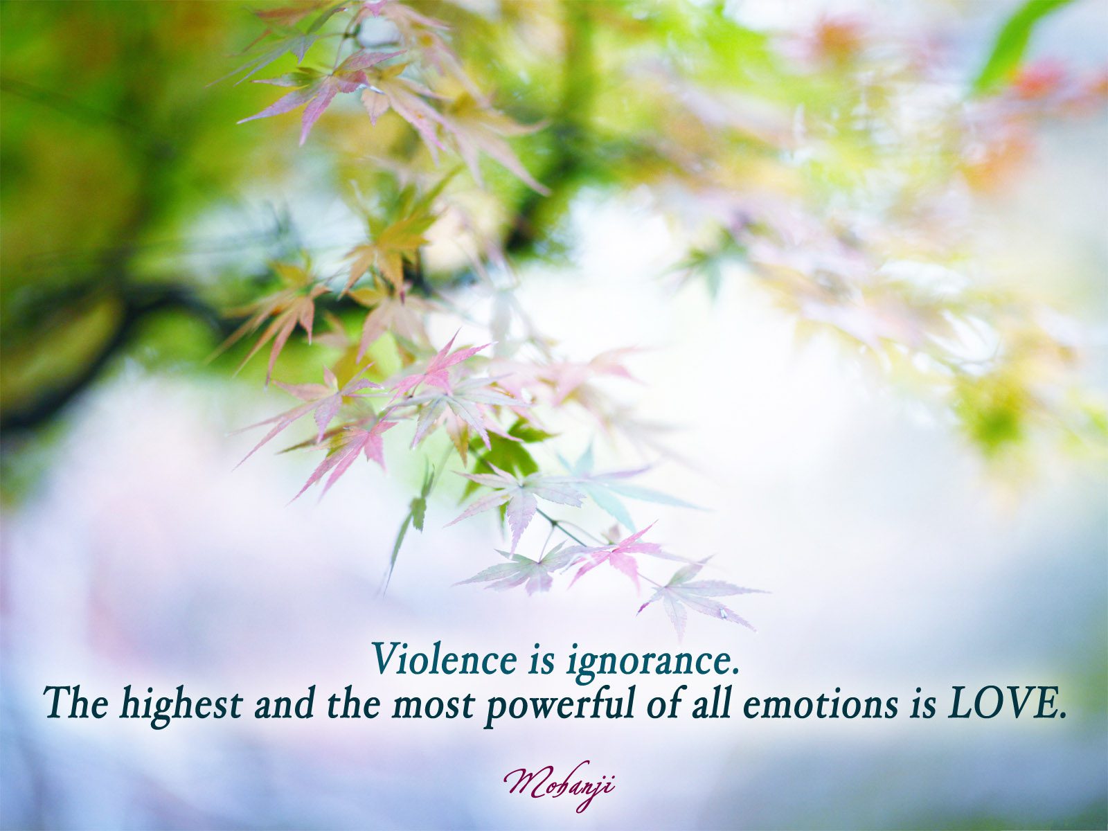 Mohanji quote - Violence is ignorance