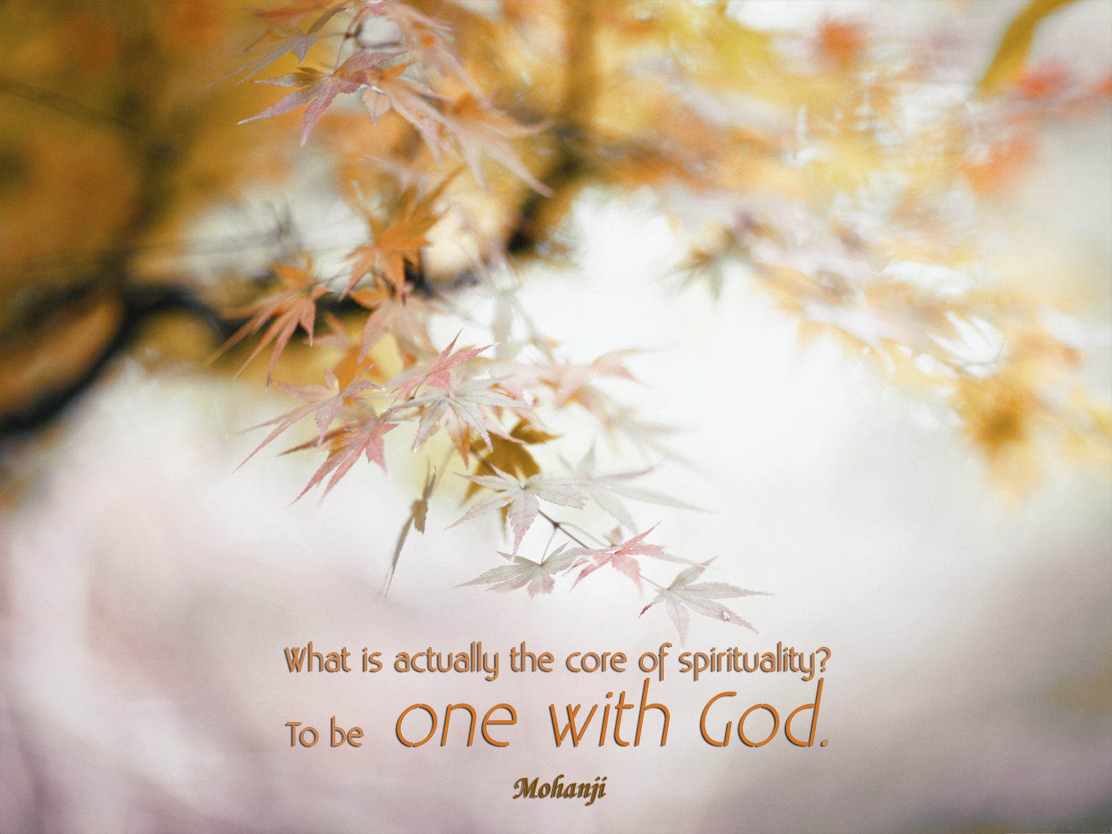 Mohanji quote - What is actually the core of spirituality