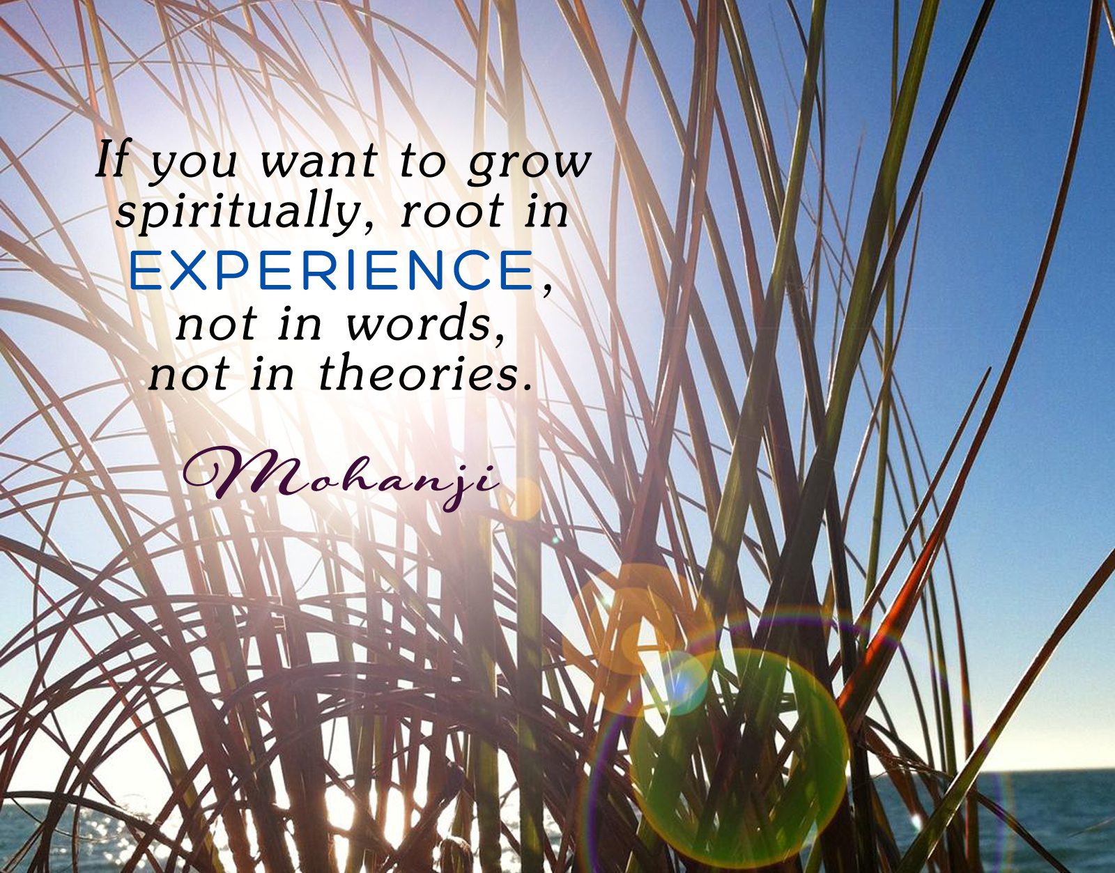 Mohanji quote - If you want to grow spiritually, root in experience