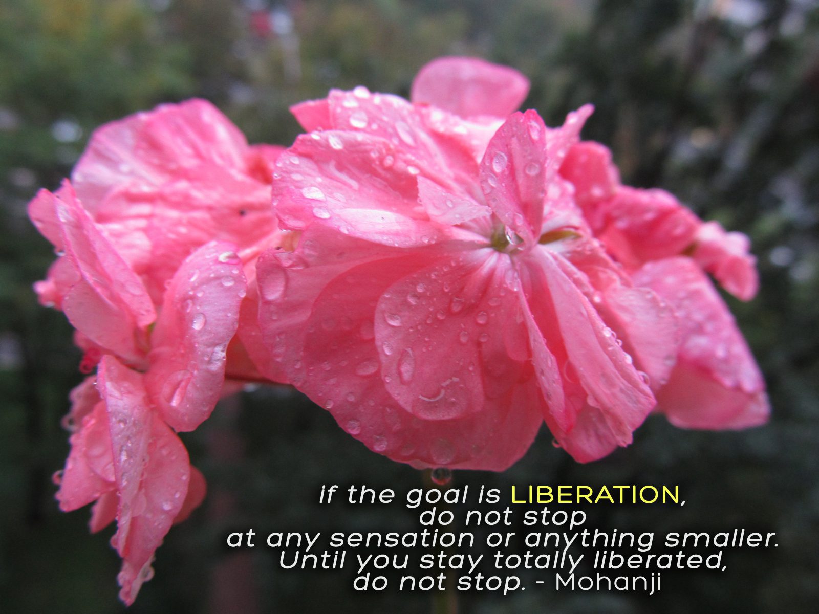 Mohanji quote - If the goal is total liberation
