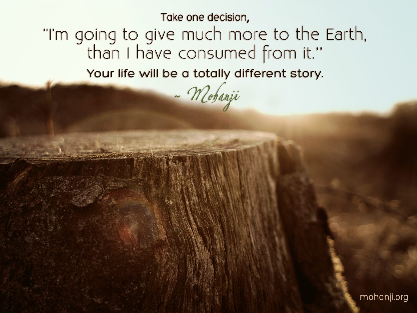 Mohanji quote - Take one decision