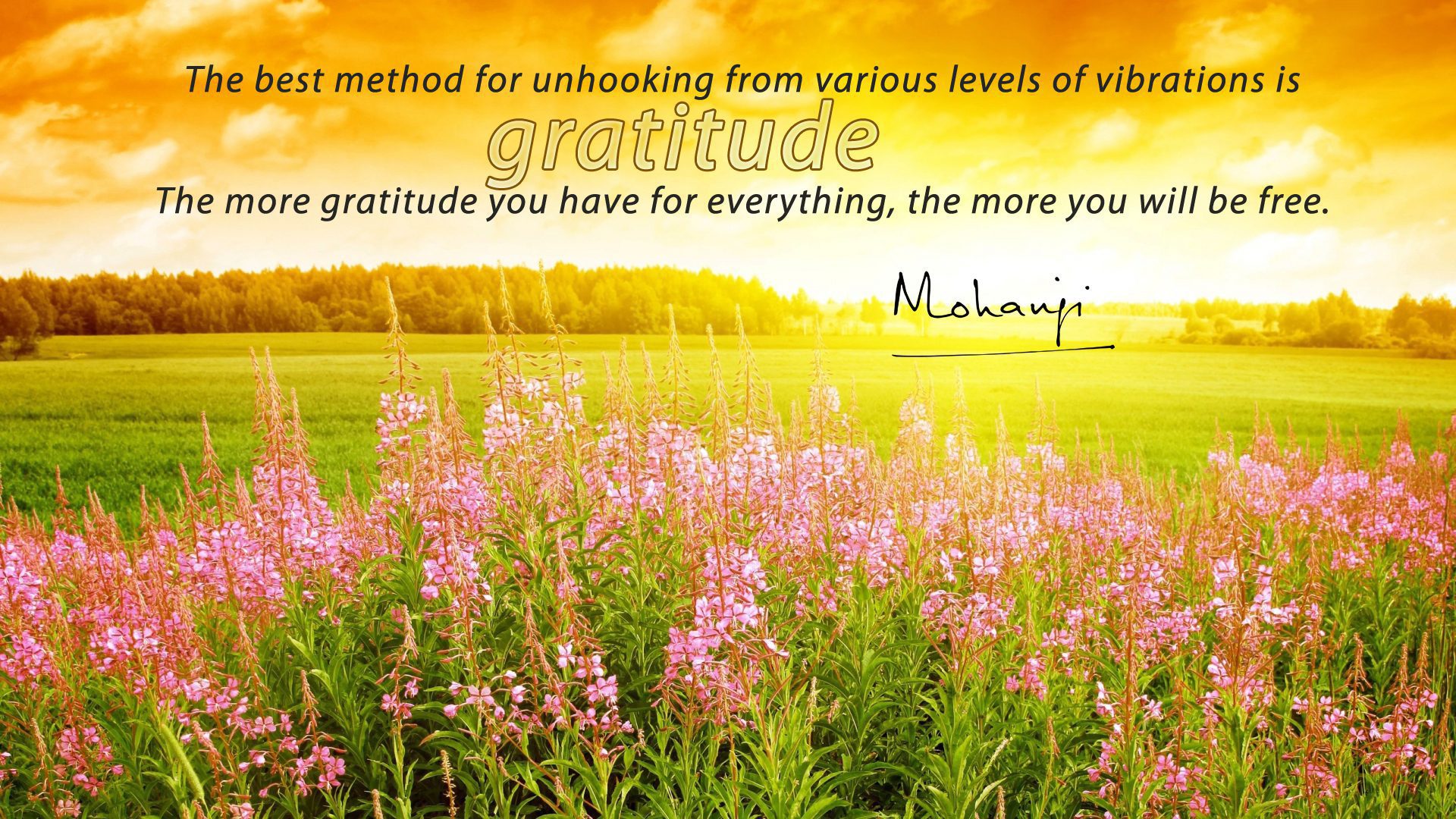 Mohanji quote - The best method for unhooking... Gratitude