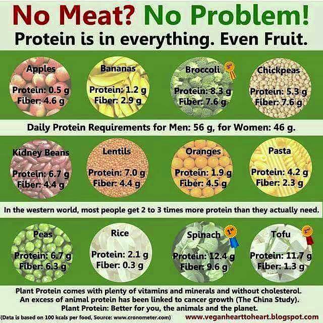 Protein in plants