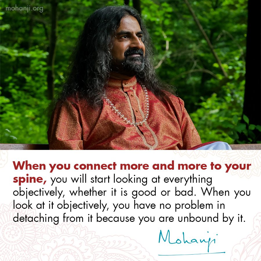 Mohanji quote - Connect to your spine 2