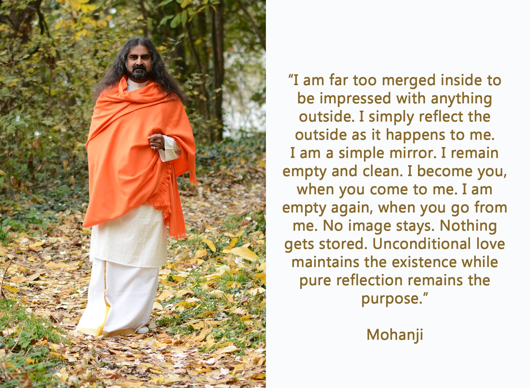 Mohanji quote-I am a simple mirror