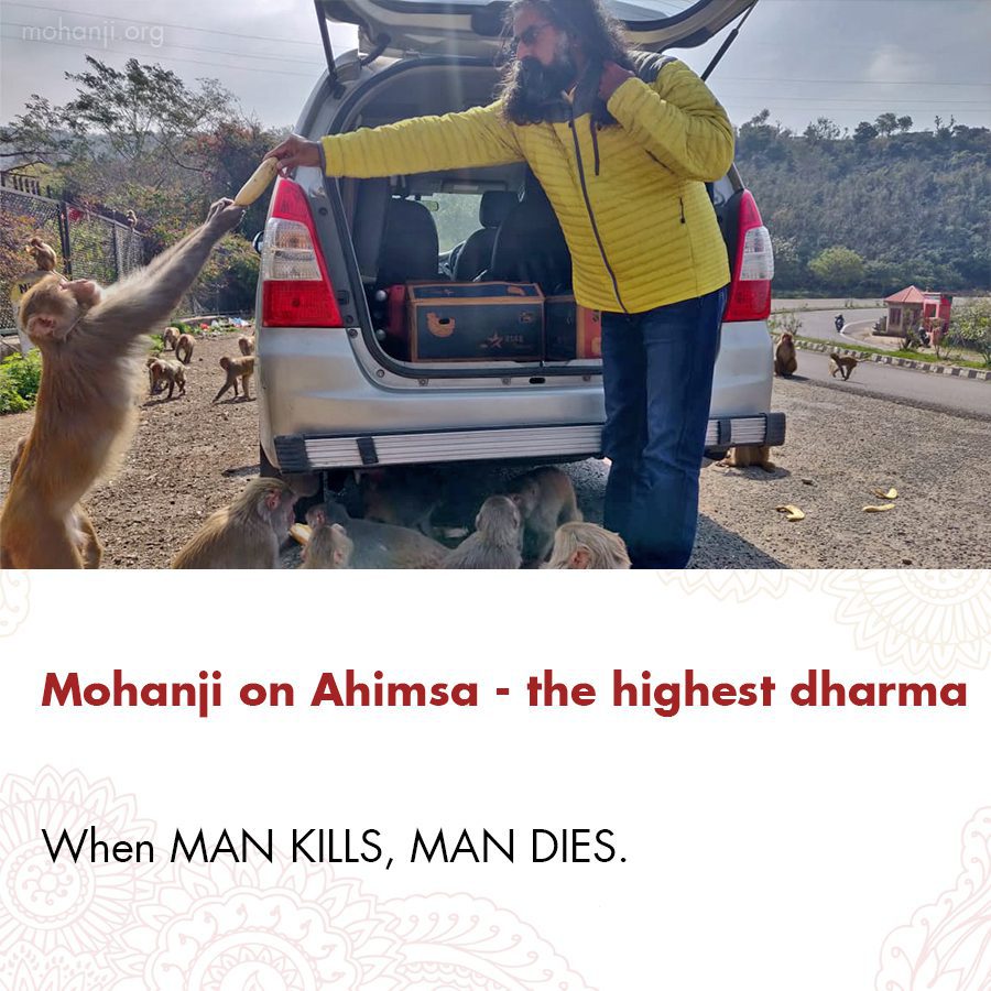Mohanji quote - Ahimsa - the highest dharma 2