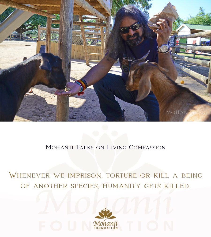 Mohanji quote - Living compassion