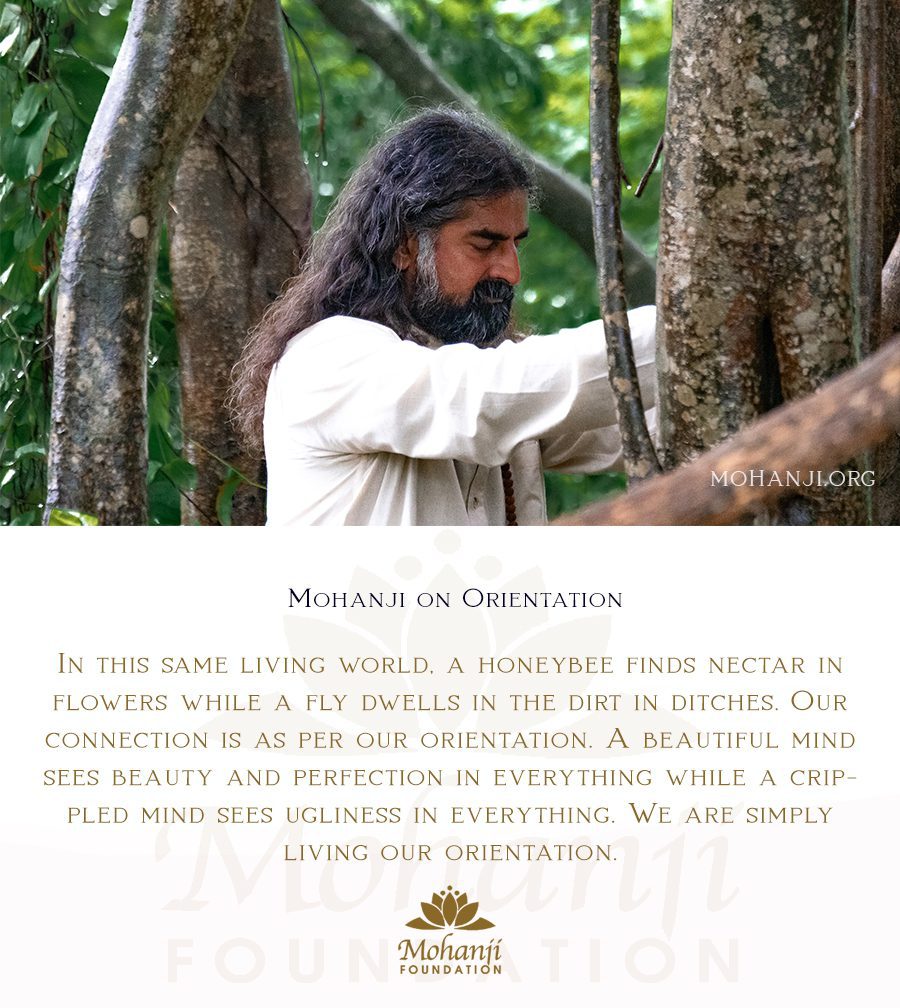 Mohanji quote - Orientation