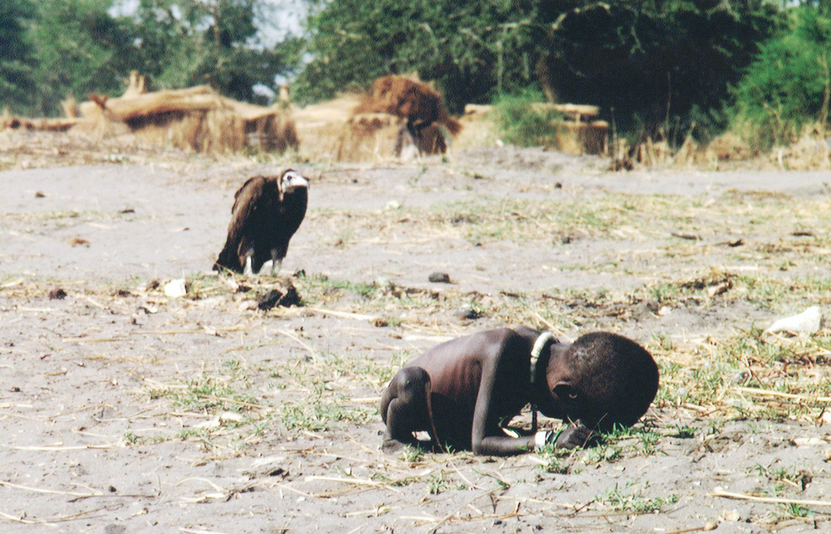 vulture and child
