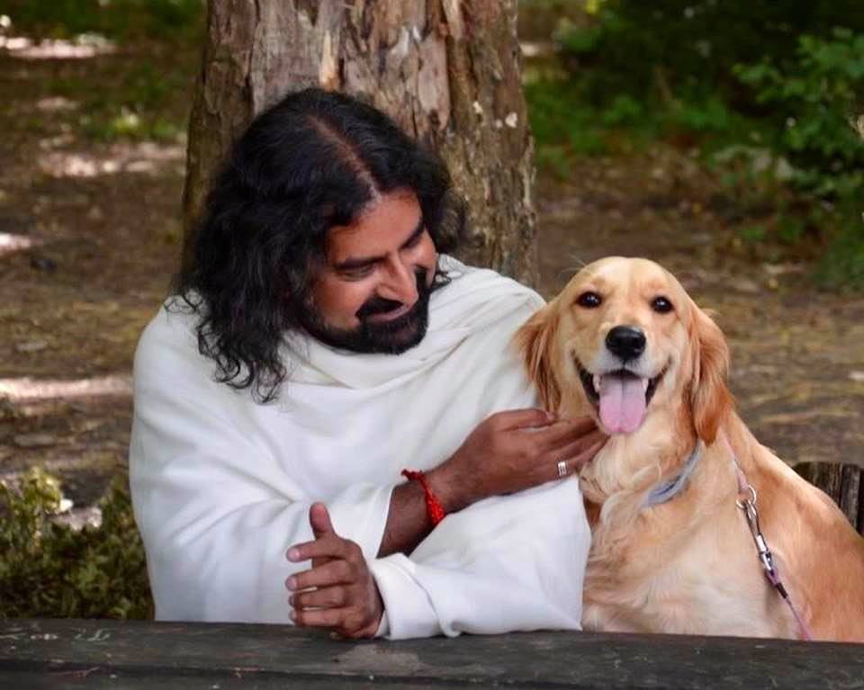 mohanji with dog