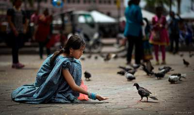 sparrow eating, girl feeding the pigeons, man feeding the poor