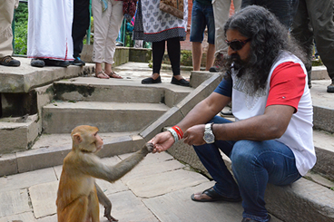 Animals Receiving Care at the Foundation