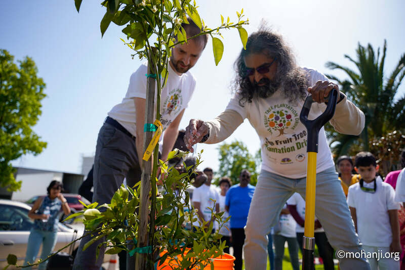 ICAI San Francisco Chapter's Earth Day Event 2022 (10)